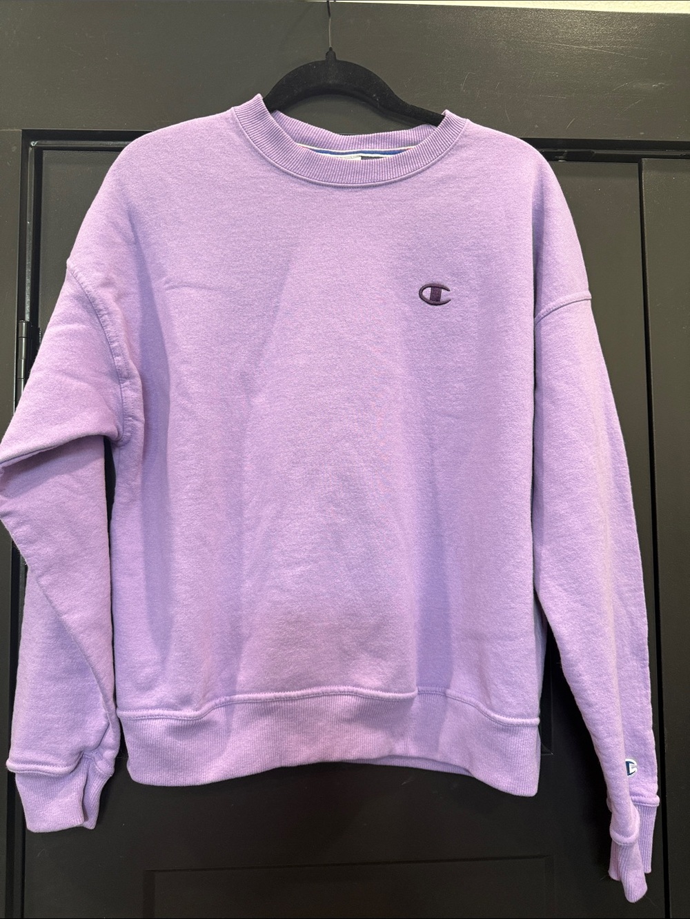 Champion Lavender Crewneck Sweatshirt - Men's